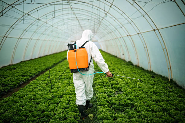 Best Pest Control for Restaurants  in New Holstein, WI