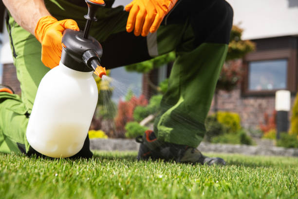 Best Local Pest Control Services  in New Holstein, WI