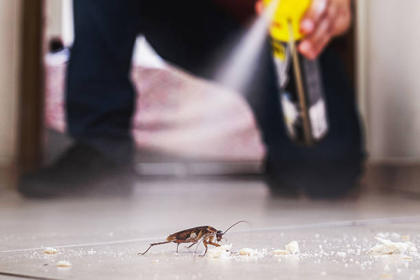 Best Mosquito Control Services  in New Holstein, WI