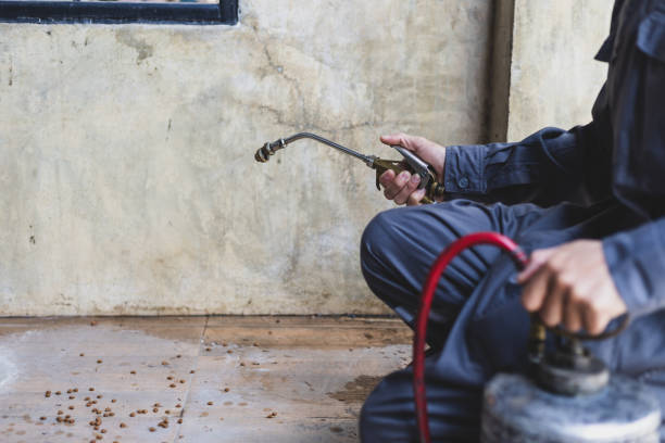Best Pest Control Treatment  in New Holstein, WI